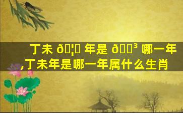 丁未 🦉 年是 🌳 哪一年,丁未年是哪一年属什么生肖